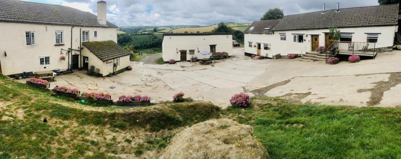 Luckyard Farm Farm stay